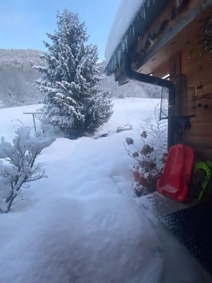 Lodge Jardin Secret - Propriétés Mont Amour Montriond France