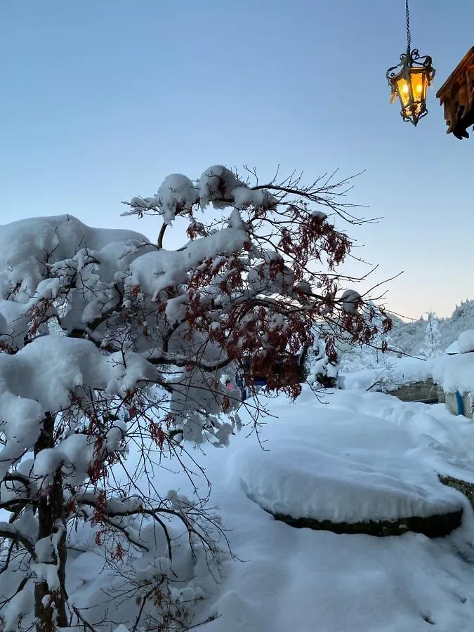 Lodge Jardin Secret - Propriétés Mont Amour Montriond